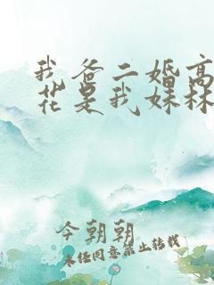 我爸二婚高冷校花是我妹林婉冰扮演者