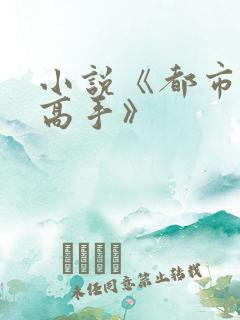 小说《都市全能高手》