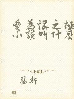 爱为恨之极原著小说叫什么名字