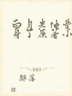 白月光他爱上替身了原著小说