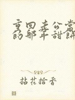 重回老公当校草的那年甜饼小说