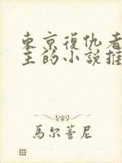 东京复仇者双男主的小说推荐