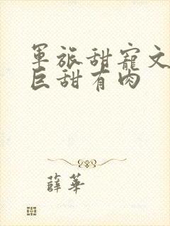 军旅甜宠文推荐巨甜有肉