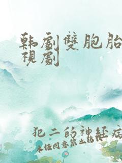 韩剧双胞胎的电视剧