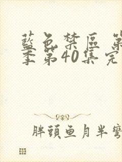 蓝色禁区 第二季第40集完整免费观看