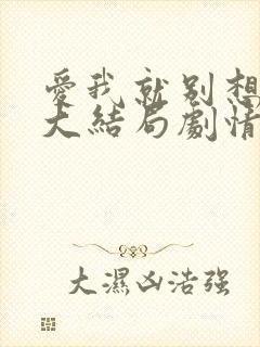 爱我就别想太多大结局剧情