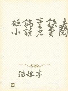 砸锅卖铁去上学小说免费阅读无弹窗