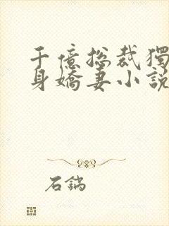 千亿总裁独宠替身娇妻小说下载