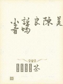 小说良陈美锦好看吗