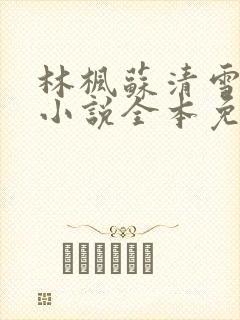 林枫苏清雪穿越小说全本免费阅读