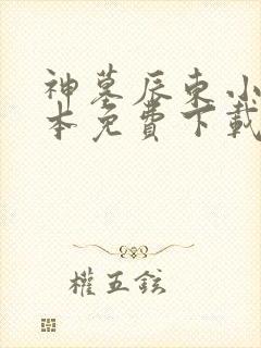 神墓辰东小说全本免费下载