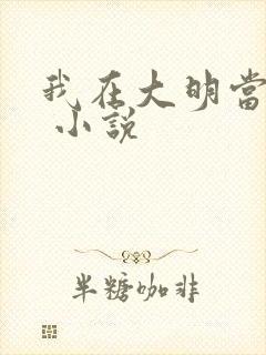 我在大明当暴君 小说