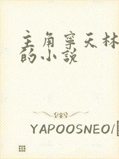 主角宁天林冉冉的小说