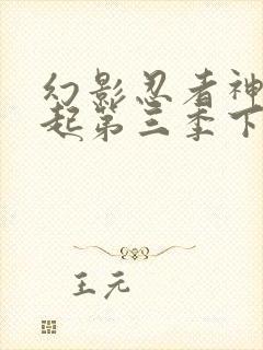 幻影忍者神龙崛起第三季下