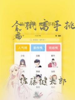 全职高手挑战赛篇：结局+番外