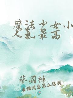 魔法少女小圆谁人气最高