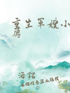 重生军嫂小说推荐