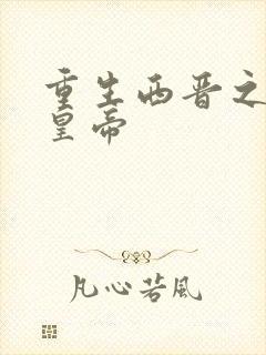 重生西晋之我为皇帝