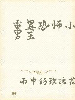 灵异恐怖小说双男主