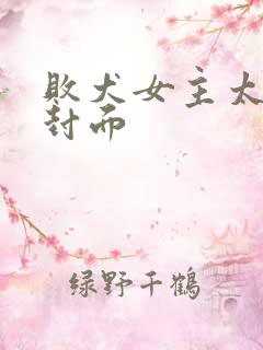 败犬女主太多了封面