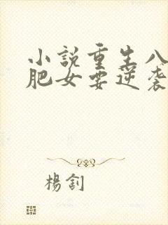 小说重生八零:肥女要逆袭完整版未删减小说