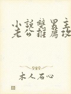 小说双男主虐文老公推荐攻略同人文