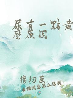 尿有一点黄是什么原因