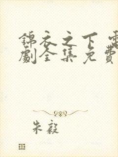 锦衣之下 电视剧全集免费观看