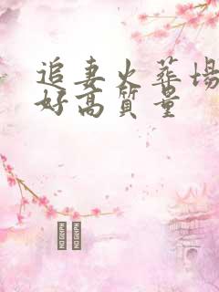 追妻火葬场文笔好高质量