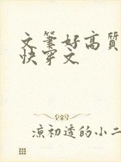 文笔好高质量的快穿文