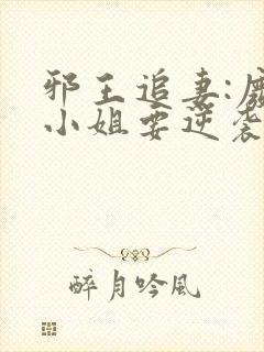 邪王追妻:废柴小姐要逆袭听书全文