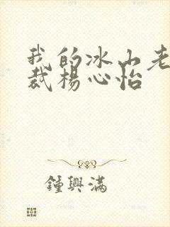 我的冰山老婆总裁杨心怡