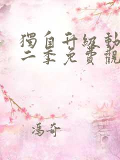 独自升级动漫第二季免费观看