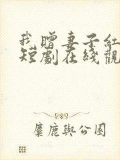 我赠妻子红缨枪短剧在线观看