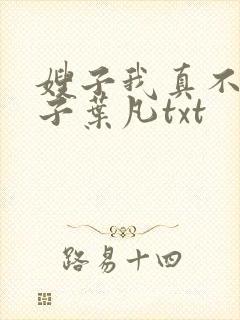 嫂子我真不是傻子叶凡txt
