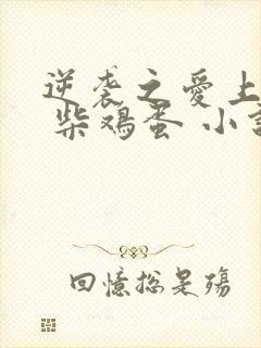 逆袭之爱上情敌 柴鸡蛋 小说