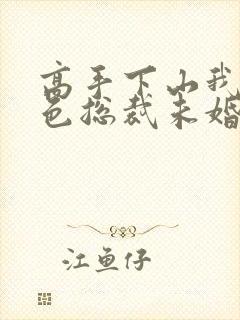 高手下山我的绝色总裁未婚妻