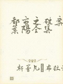 都市之破案狂少叶阳全集