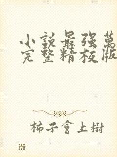 小说最强万岁爷完整精校版txt