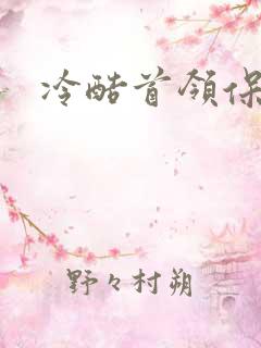 冷酷首领保姆妻