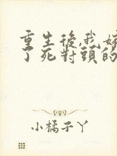 重生后,我嫁给了死对头的未婚夫全文