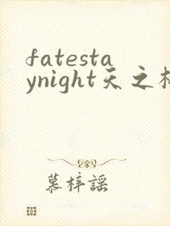 fatestaynight天之杯在线观看
