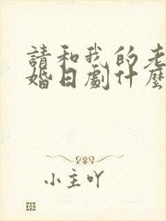 请和我的老公结婚日剧什么时候更新