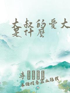 大叔的爱大结局是什么