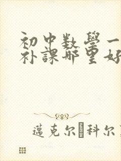 初中数学一对一补课哪里好