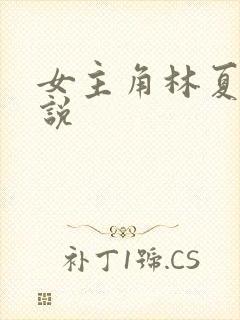 女主角林夏的小说