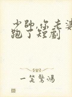 少帅,你老婆又跑了短剧