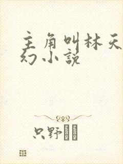主角叫林天的玄幻小说