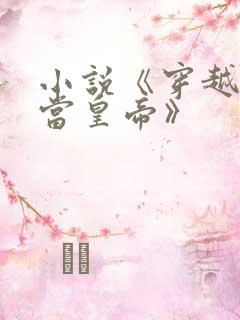 小说《穿越明朝当皇帝》