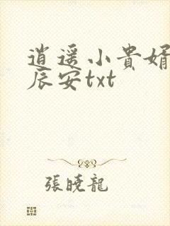 逍遥小贵婿 李辰安txt